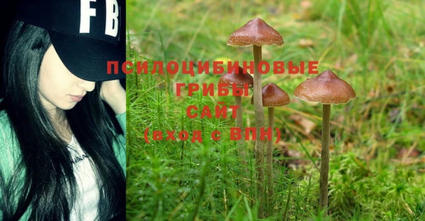 mdma Белокуриха