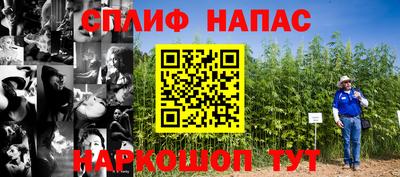 молекула духа Можайск