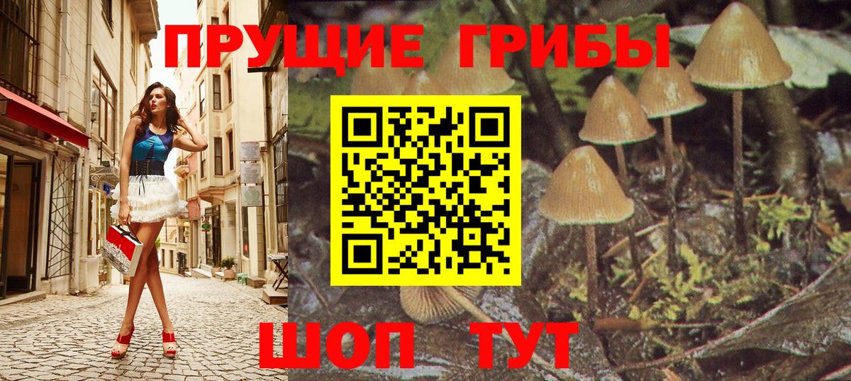 Галлюциногенные грибы мухоморы Горячий Ключ
